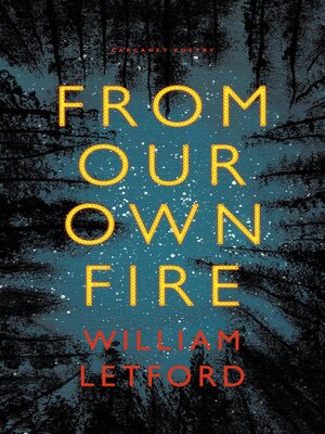 cover image of From Our Own Fire